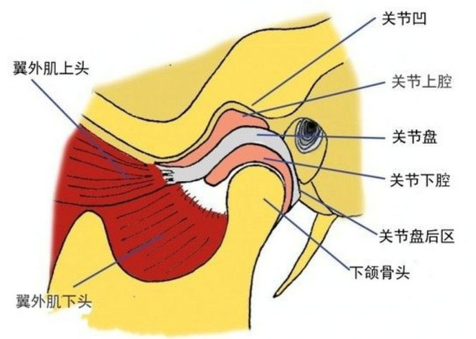 顳下頜關節紊亂